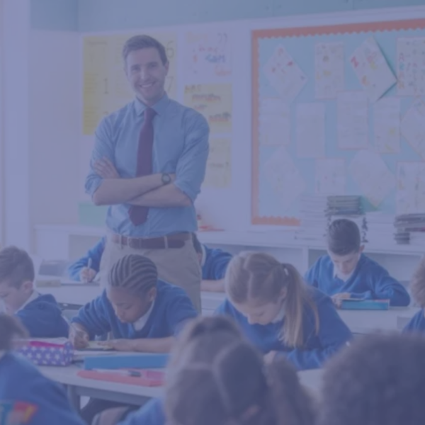 send courses for teaching assistants